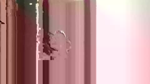 JJ online show from 12/17/25, 02:56