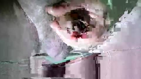 Snapshot of suesser0009 chatting on 10/20/25, 11:38 Martin sweetboy online show from 10/20/25, 11:38