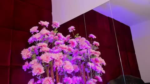 Snapshot of sugar_maple chatting on 09/26/25, 05:11 Sugar online show from 09/26/25, 05:11