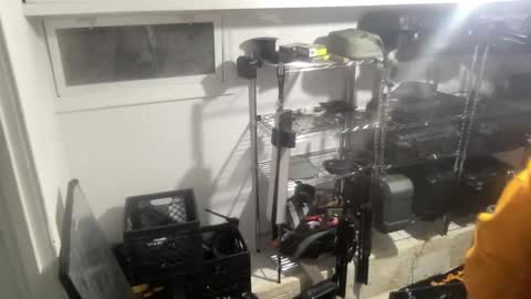 Sugar online show from 12/28/24, 02:43