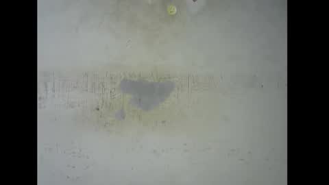 Snapshot of sugarmeltsxx chatting on 11/09/25, 05:44 Bella online show from 11/09/25, 05:44