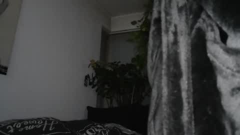 s online show from 12/17/24, 07:59