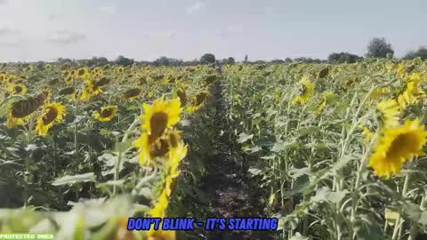 Snapshot of sunflower0907 chatting on 09/14/25, 08:02 Tina. Im topless model online show from 09/14/25, 08:02