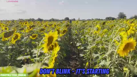 Snapshot of sunflower0907 chatting on 10/30/25, 10:06 Tina. Im topless model online show from 10/30/25, 10:06