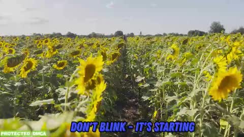 Snapshot of sunflower0907 chatting on 02/05/26, 09:03 Tina. Im topless model online show from 02/05/26, 09:03