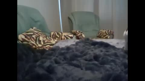 suni online show from 03/07/25, 05:08