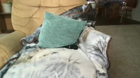 Snapshot of sunny_clementine chatting on 03/14/26, 05:18 Sunny Clementine online show from 03/14/26, 05:18