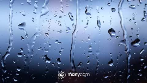 sven online show from 02/06/26, 08:18