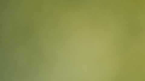 Annie online show from 12/19/24, 12:56