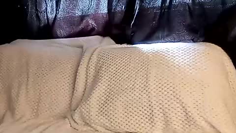 Annie online show from 03/08/25, 07:42