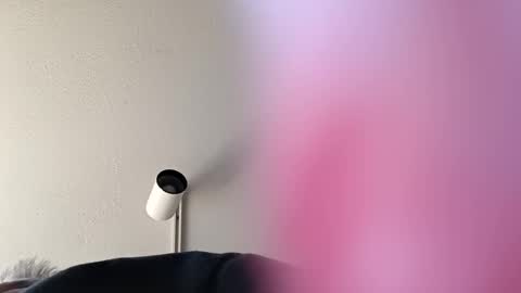 Snapshot of superhornedupgangsta831 chatting on 01/27/25, 05:04 SuperhorndupGangsta online show from 01/27/25, 05:04