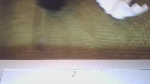 Snapshot of supersour chatting on 03/06/25, 11:53 supersour online show from 03/06/25, 11:53