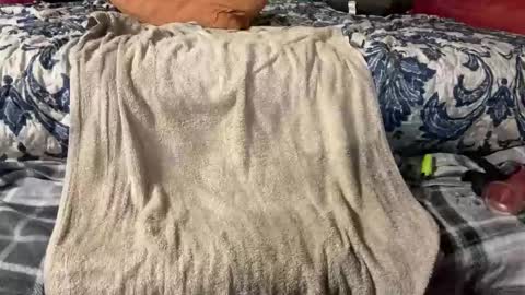 Snapshot of supremelifers chatting on 03/03/25, 09:48 Stony online show from 03/03/25, 09:48