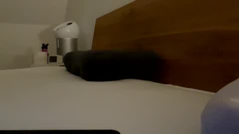 surfstar81 online show from 03/20/26, 09:19