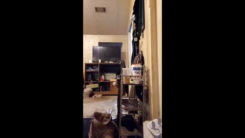 Snapshot of surfsup850 chatting on 12/18/25, 03:01 surfsup850 online show from 12/18/25, 03:01