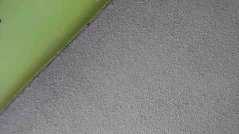 Snapshot of sussan_nasty chatting on 12/16/25, 01:38 sussan_nasty online show from 12/16/25, 01:38