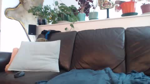 Otto online show from 03/11/25, 10:42