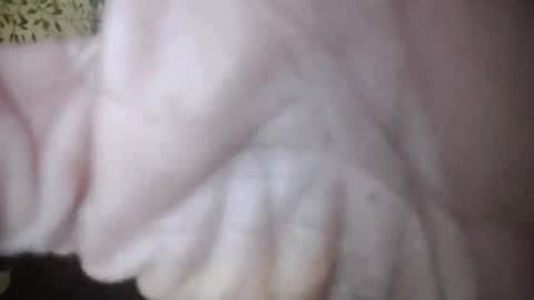 suzuki1250 online show from 04/05/26, 07:27