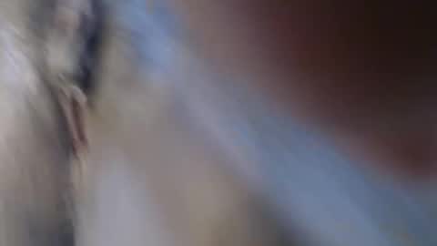 Suzy online show from 03/22/26, 09:13