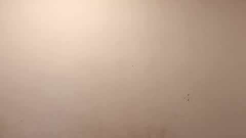 Snapshot of sweaterboy666 chatting on 03/10/26, 11:37 sweaterboy666 online show from 03/10/26, 11:37