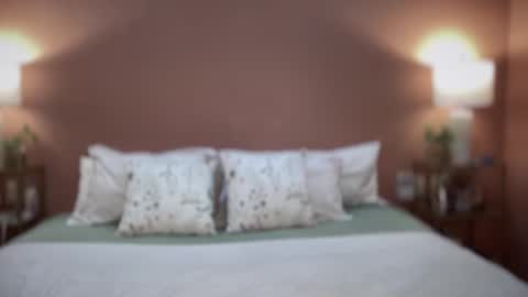 Swedish Candii online show from 02/25/26, 12:31