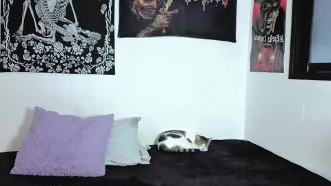 Natasha  independent modelo online show from 04/06/26, 09:49