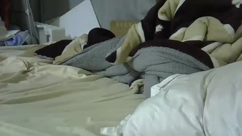 Bellah online show from 03/08/26, 09:29