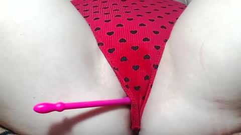 Kitten online show from 05/14/26, 07:37