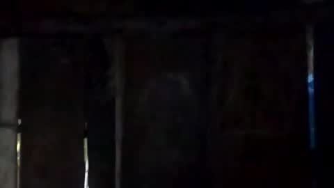 sweet_nessa30 online show from 02/10/26, 06:17