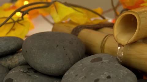 Sandra online show from 10/26/25, 01:28