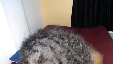 Snapshot of sweet_sherie chatting on 09/30/25, 12:04 ellanah Tracie online show from 09/30/25, 12:04