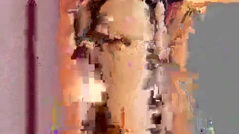          online show from 07/15/26, 07:41