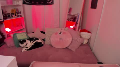 Snapshot of sweetdeemon chatting on 12/25/24, 03:50 Vernica Help me to reach 80 likes thank you online show from 12/25/24, 03:50