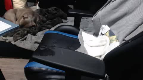 Snapshot of sweetgesus chatting on 11/06/25, 03:57 sweetgesus online show from 11/06/25, 03:57