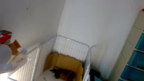 Snapshot of sweetlilly_18 chatting on 01/07/25, 05:20 Lilly online show from 01/07/25, 05:20