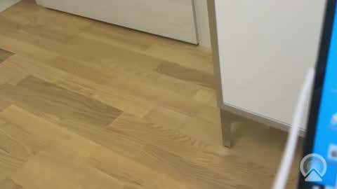 sweetlovelyladylove online show from 04/15/26, 08:32