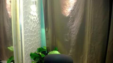 sweetspecial_jessyxx online show from 04/14/26, 06:58