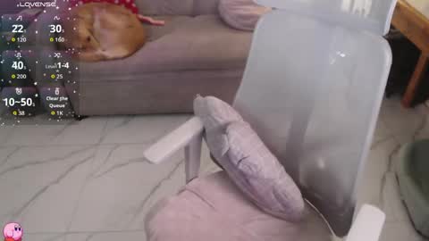 Pau online show from 04/25/26, 12:24