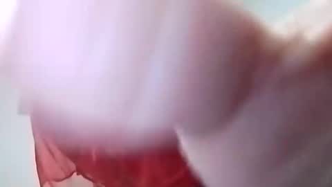 sweetwendi15 online show from 02/08/25, 02:04