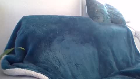 Snapshot of swissride chatting on 02/27/25, 01:38 swissride online show from 02/27/25, 01:38