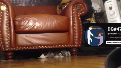 The DickGod online show from 12/01/25, 06:46