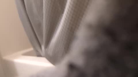 Snapshot of swollpole2112 chatting on 09/14/25, 06:12 swollpole2112 online show from 09/14/25, 06:12