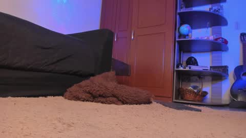 Snapshot of syd_onnfire chatting on 12/18/24, 02:32 Syd online show from 12/18/24, 02:32