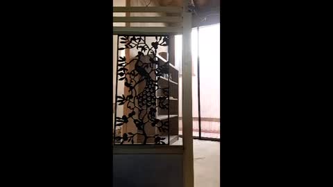 syevecrl online show from 01/31/26, 10:30