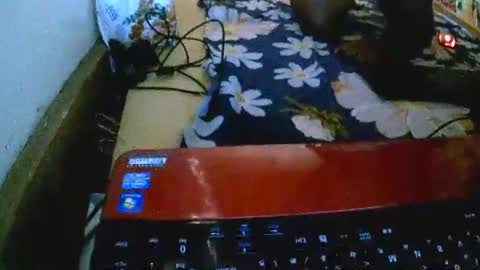 sylviasexy27 online show from 11/18/25, 09:36