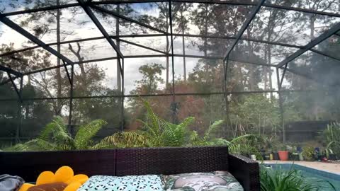 Snapshot of syndica chatting on 12/17/25, 09:43 Jennah online show from 12/17/25, 09:43