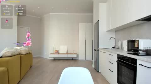 Snapshot of synop_sis chatting on 09/20/25, 08:48 Mila online show from 09/20/25, 08:48