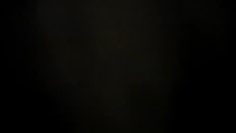 Snapshot of synop_sis chatting on 09/25/25, 08:40 Mila online show from 09/25/25, 08:40