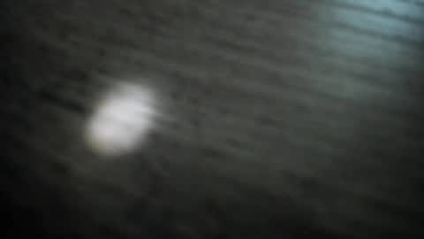 Snapshot of synop_sis chatting on 11/30/25, 01:42 Mila online show from 11/30/25, 01:42