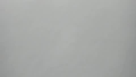 Snapshot of synop_sis chatting on 12/01/25, 01:43 Mila online show from 12/01/25, 01:43